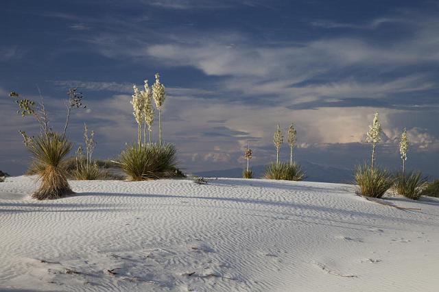 071 White Sands National Monument.jpg